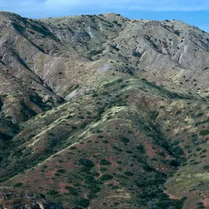 East side of Willows Canyon, Santa Cruz Island