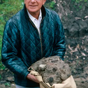 Dan Axelrod with fossil pine cones, CaÃ±ada de Los Sauces, Santa Cruz Island