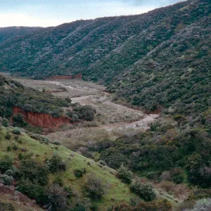 Central Valley from slopes, North of foot of Portezuela grade, Santa Cruz Island