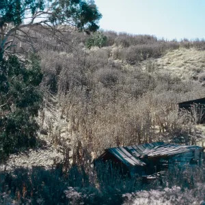 fishing shack, China Harbor, Santa Cruz Island