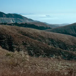 fog near West Anacapa Island, from navy road, Santa Cruz Island