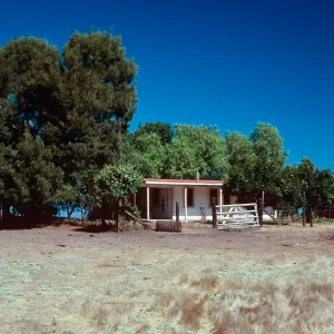 Campo Del Norte, Santa Cruz Island