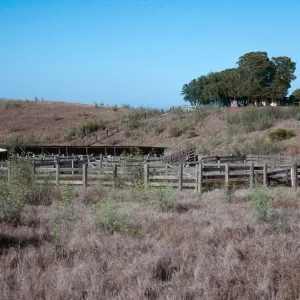 Campo Del Norte, Santa Cruz Island