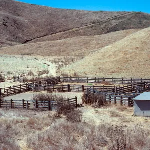 stock pens at Campo Del Norte, Santa Cruz Island