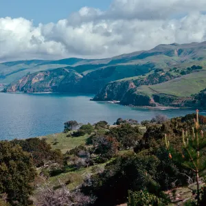 looking East, Pelican - Prisoners Trail, Santa Cruz Island