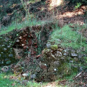 ruins of kiln, CaÃ±ada Del Puerto, Santa Cruz Island
