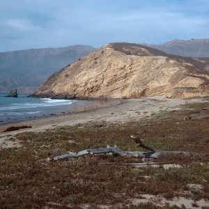 Sauces Beach, Santa Cruz Island