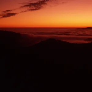 sunset & fog, upper Sauces Canyon, Santa Cruz Island