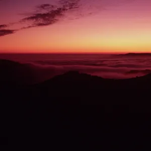 fog at sunset, upper Sauces Canyon, Santa Cruz Island