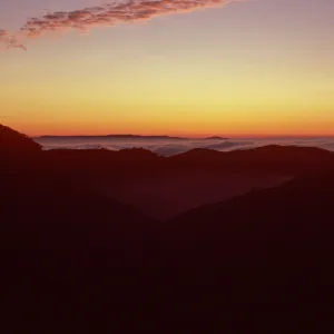 sunset & fog, upper Sauces Canyon, Santa Cruz Island