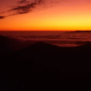 sunset & fog, upper Sauces Canyon, Santa Cruz Island