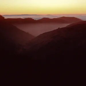 sunset & fog, upper Sauces Canyon, Santa Cruz Island