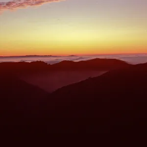 sunset & fog, upper Sauces Canyon, Santa Cruz Island
