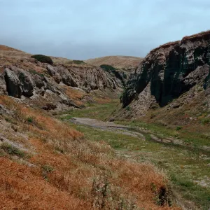 upper sauces Canyon, Santa Cruz Island