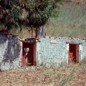 Cantina Vieja (apiary), Stanton Ranch, Santa Cruz Island