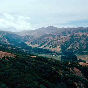Central Valley & Stanton Ranch from East Ridge Road, Santa Cruz Island