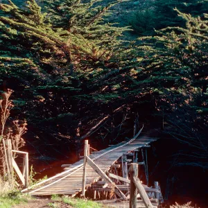 bridge, Christy Ranch, Santa Cruz Island