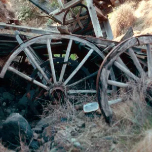 Wagon Gulch, near Christi Ranch, Santa Cruz Island