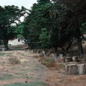 campground, Scorpion Ranch, Santa Cruz Island