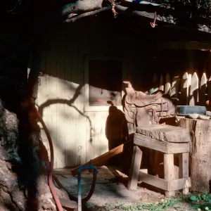 saddlery, Scorpion Ranch, Santa Cruz Island