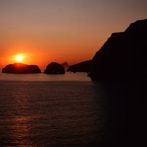 sunrise, Scorpion Canyon, Santa Cruz Island