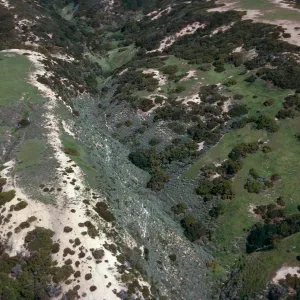 vegetation patterns, South side, just West of The Nature Conservancy/Gherini boundary, Santa Cruz Island