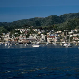 Avalon, Catalina Island