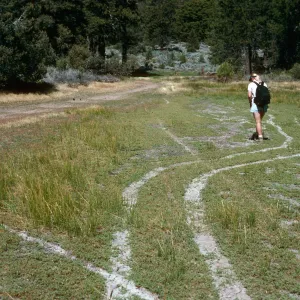 OHV damage, looking East, East end of meadow #1, Yellowjacket Campground