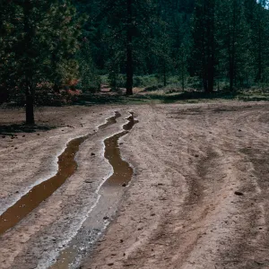 OHV damage, West end of meadow #2, looking West, Yellowjacket Campground
