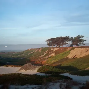 backdunes at surf, Santa Ynez River, Santa Barbara County