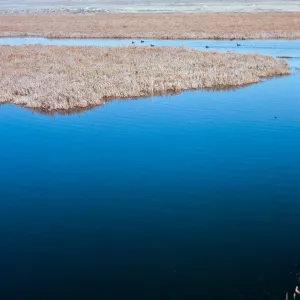 Surf, salt marsh at Ocean Park, Santa Ynez River, Santa Barbara County