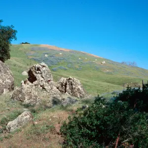 San Luis Obispo County