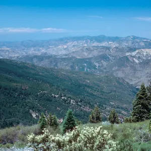 view from Big Pine Mountain, Santa Barbara County