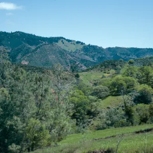 Figueroa Mountain Road, Santa Barbara County