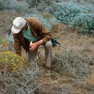 San Nicolas Island