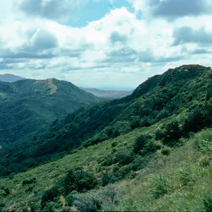 head of San Augustine Road, Hollister Ranch, Santa Barbara County