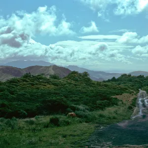 San Augustine Canyon, looking South, Hollister Ranch, Santa Barbara County