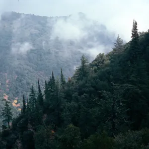 Cone Peak, Santa Lucia Mountains, Big Sur, Monterey County