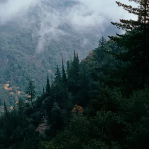 Cone Peak, Santa Lucia Mountains, Big Sur, Monterey County