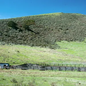 Coasal Sage--Grassland, Highway 1, South of Lompoc, Santa Barbara County