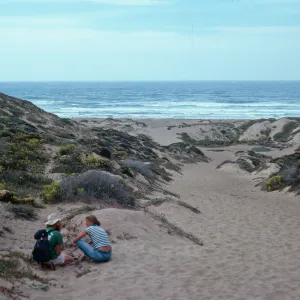 dunes, North of Hazard Canyon, MontaÃ±a de Oro, San Luis Obispo County