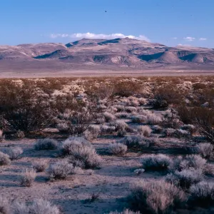 El Paso Mountains, just South of Robbers Roost, BLM North Mojave Desert, Kern County