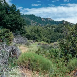 Bear Creek Trail, Sisquoc River, Santa Barbara County