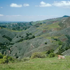 Coastal Sage, Grassland, Figueroa Mountain Road, Santa Barbara County