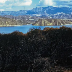Lake Cachuma burn, at road to Bradbury Dam overview, Santa Barbara County