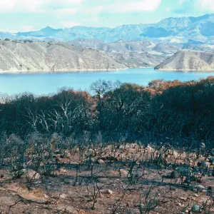 Lake Cachuma burn, at road to Bradbury Dam overview, Santa Barbara County