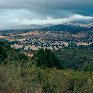 Oak Savannah & view of backcountry overlook-Highway 154, Santa Barbara County