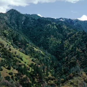 view at El Portal, Yosemite National Park, Mariposa County