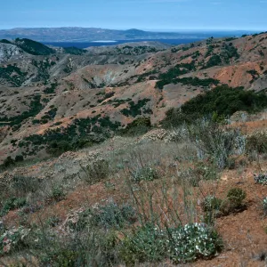 view of Santa Rosa Island from South Ridge Road, Santa Cruz Island