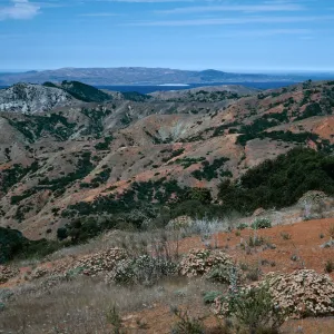 view of Santa Rosa Island from South Ridge Road at Peak 1498, Santa Cruz Island